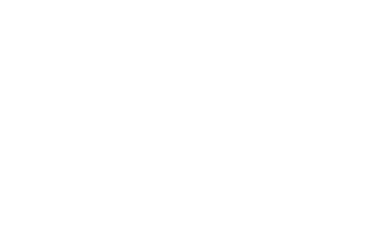 Dell Vector