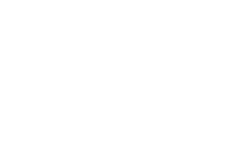 HP vector